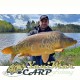 Добавка Feeder Bait Pineapple/ Peach 250 ml