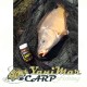 Дъмбели Feeder Bait Smużaki Tigernuts 8/10 mm