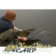 Теглилка Korda Basix Weigh Sling