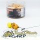 Тигрови ядки Massive Baits Tigers Bolsena Squid 150ml
