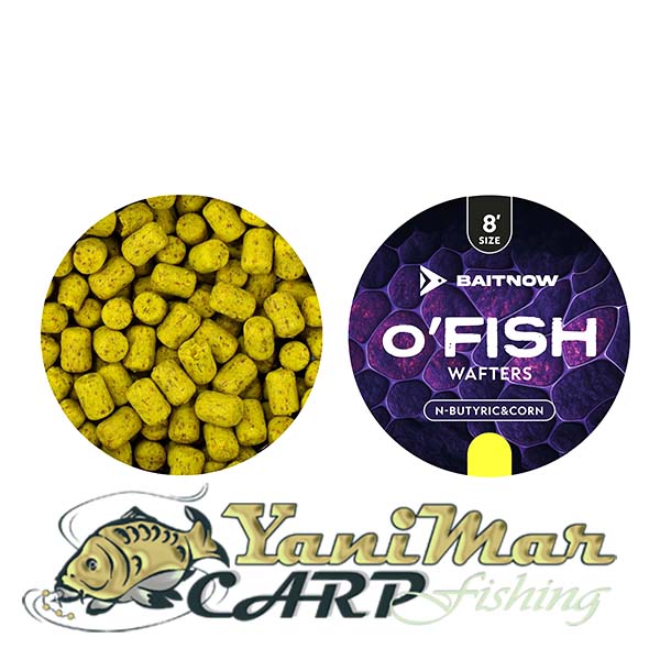 Уафтери Baitnow METHOD FEEDER O'FISH N-BUTYRIC CORN SIZE 8 24g