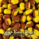 Уафтери Baitnow YOLO Yellow & Bronze Coarse & Corn Method Feeder 24g (6/8/10mm)