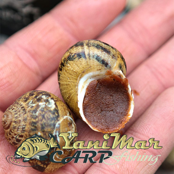 Паста Black Label Baits – The Paste "Krill"
