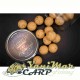 Уафтери Forgotten Flavours Nutty Maple Wafters