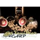 Поп ъп топчета Forgotten Flavors Monkey Climber x FF Coffee Crème Pop-Ups