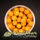 Протеинови топчета Forgotten Flavours Scopex Hard Hookbaits