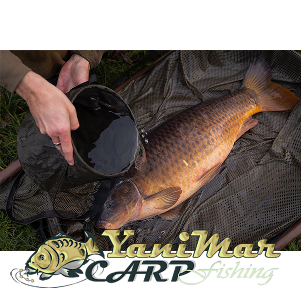 Кофа Korda Compac Water Bucket