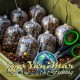 Пва торбички Korda Solidz Slow Melt PVA Bags