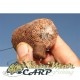 PVA комплект Korda Original Funnel Web 7м