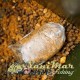 PVA тръбички On Point PVA Bag Stems