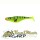 Green Perch 