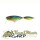 Speckled Blue Gill 