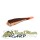Bloody Minnow 