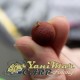 Бързи връзки Korda Hook Klip Medium