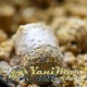 Течна добавка Black Label Baits Scopex Milk Plus 500 ml
