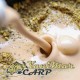 Течна добавка Black Label Baits Scopex Milk Plus 500 ml